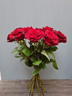 Langstilket Ecuador Roser Røde - bundet med 10 stilke
